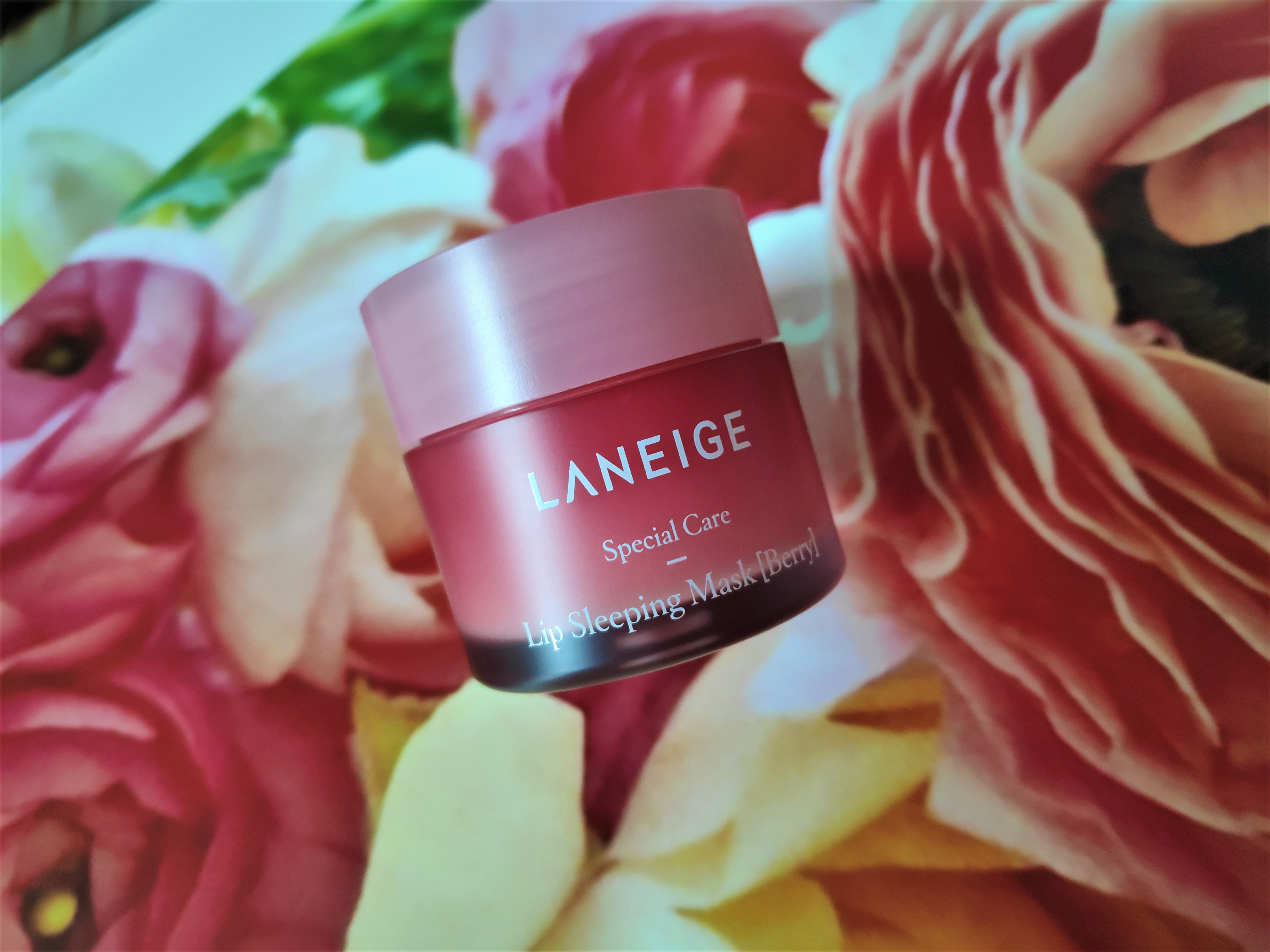 laneige magenta muse review