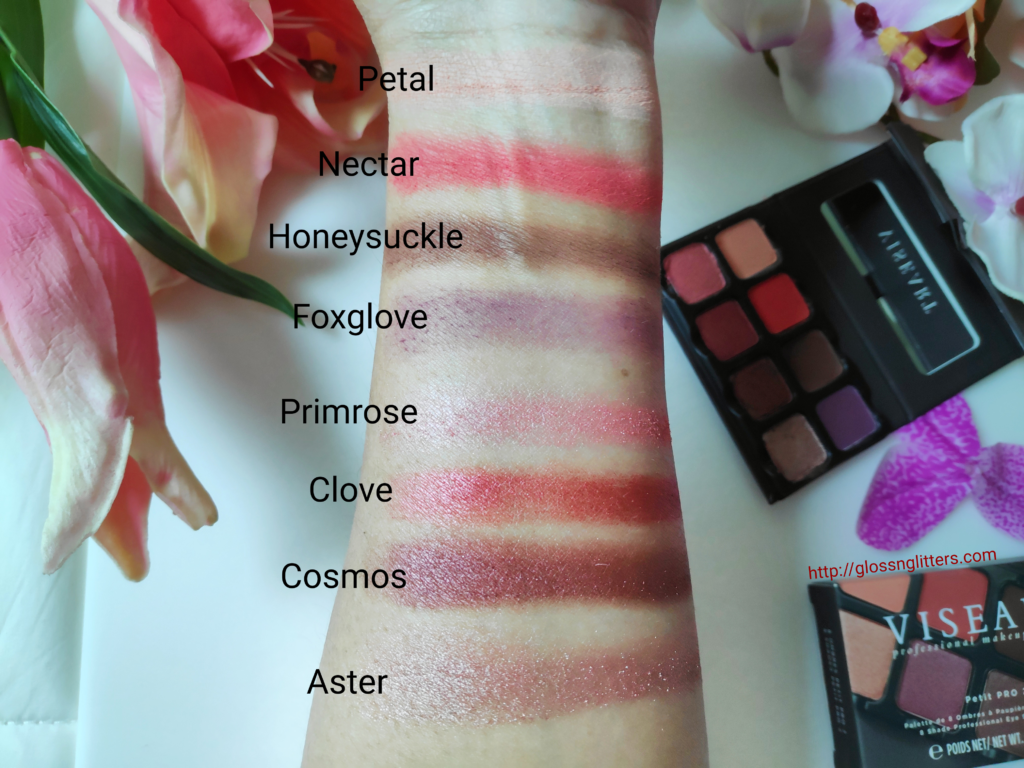 Viseart Patit PRO 2 Eyeshadow Palette Review and swatches 