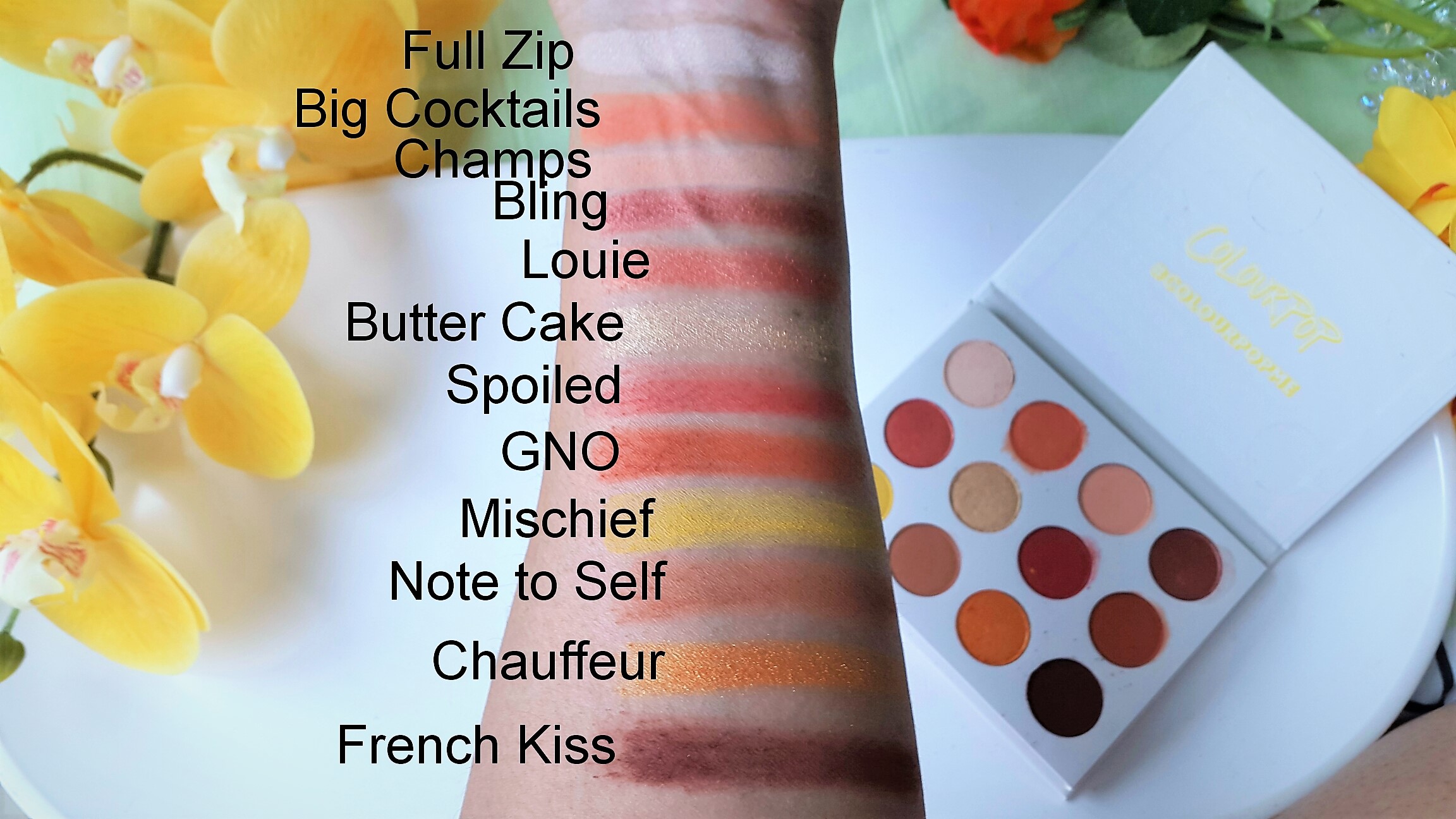 Colourpop Yes, Please! Pressed Powder Shadow Palette Swatches