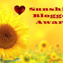 Sunshine Blogger Award Round 3