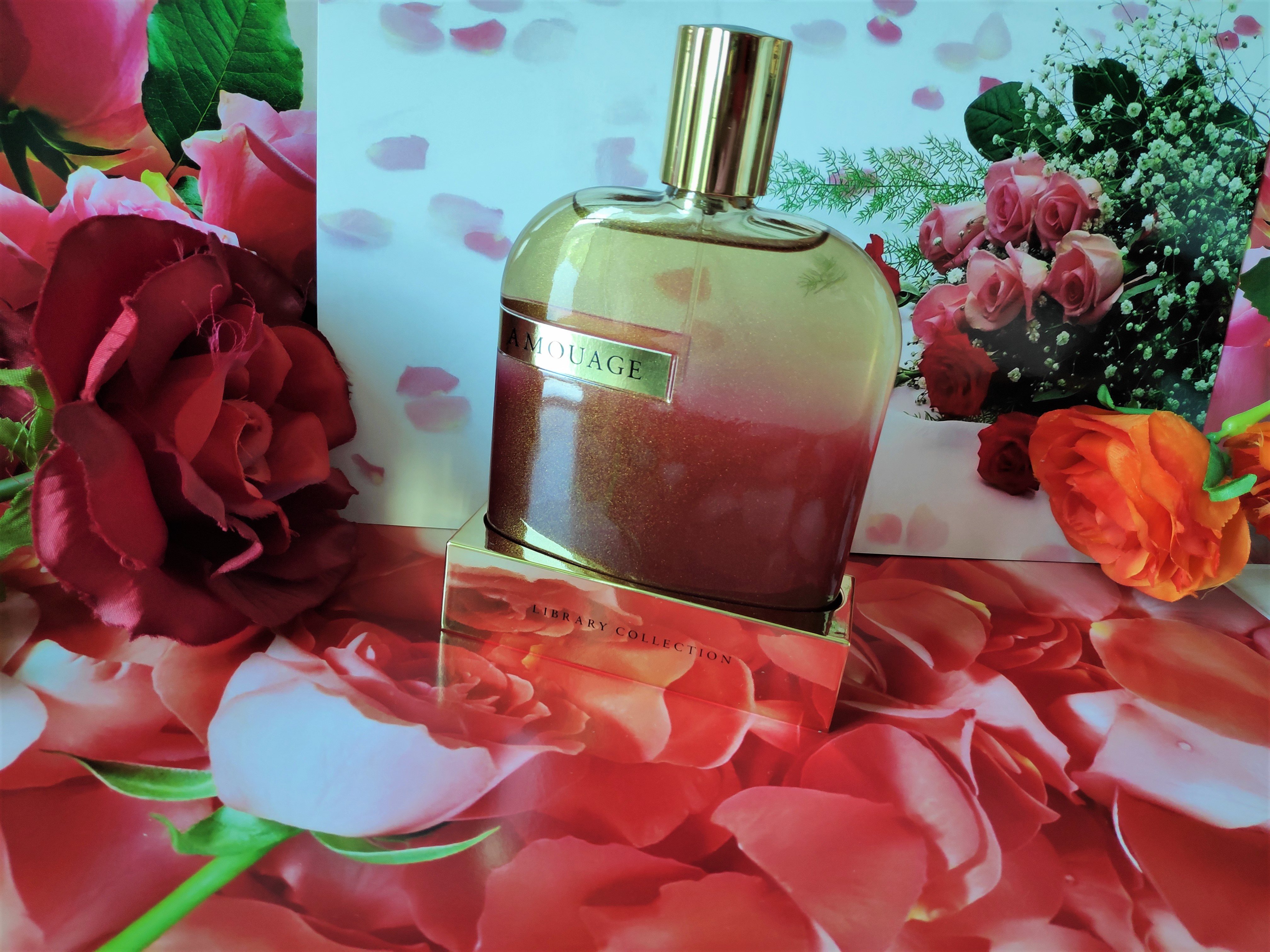 Amouage OPUS X - The Library Collection Fragrance Review