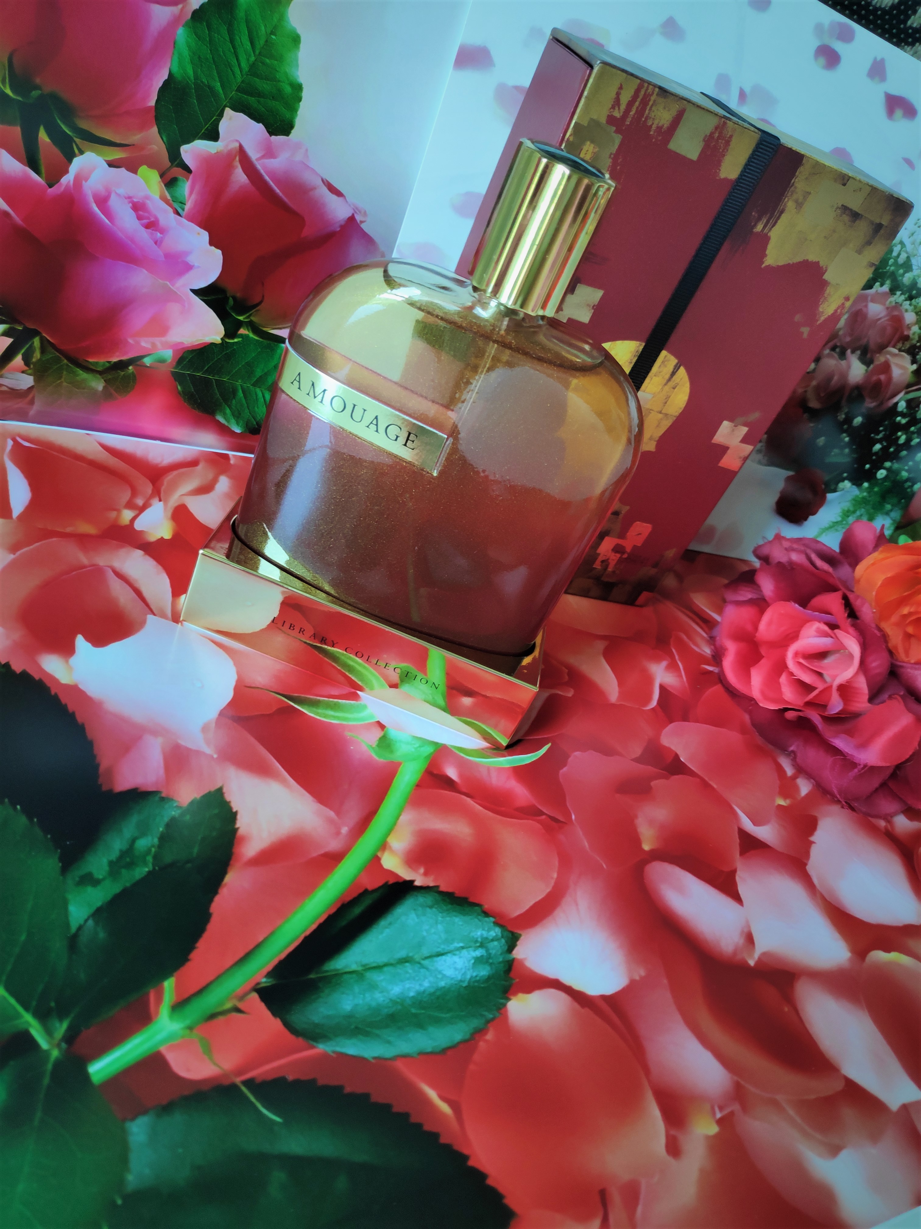 Amouage OPUS X - The Library Collection Fragrance Review