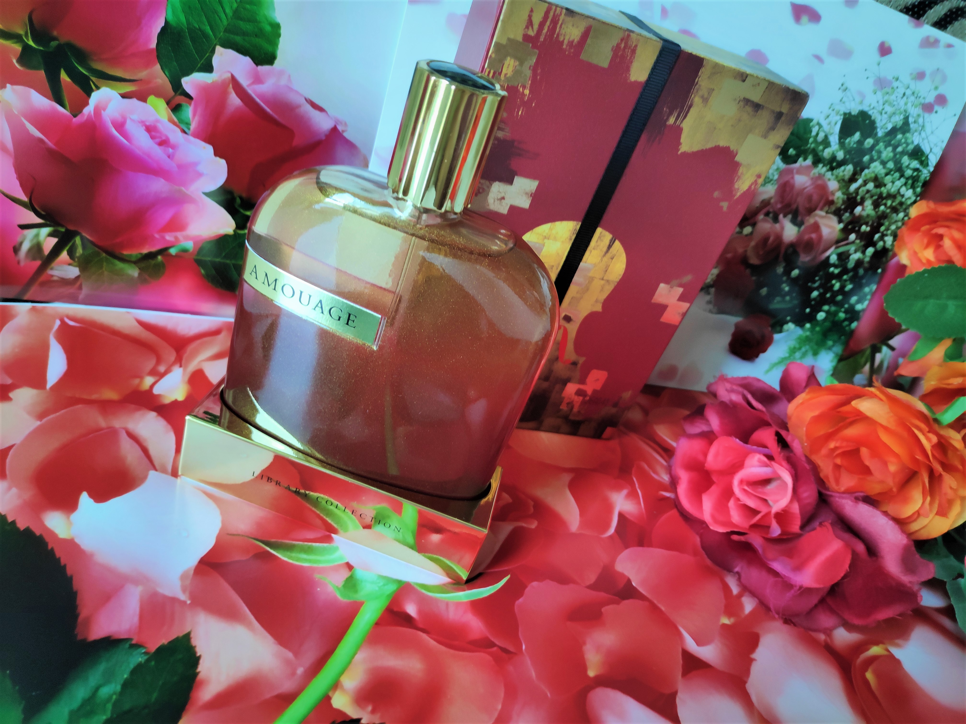 Amouage OPUS X - The Library Collection Fragrance Review