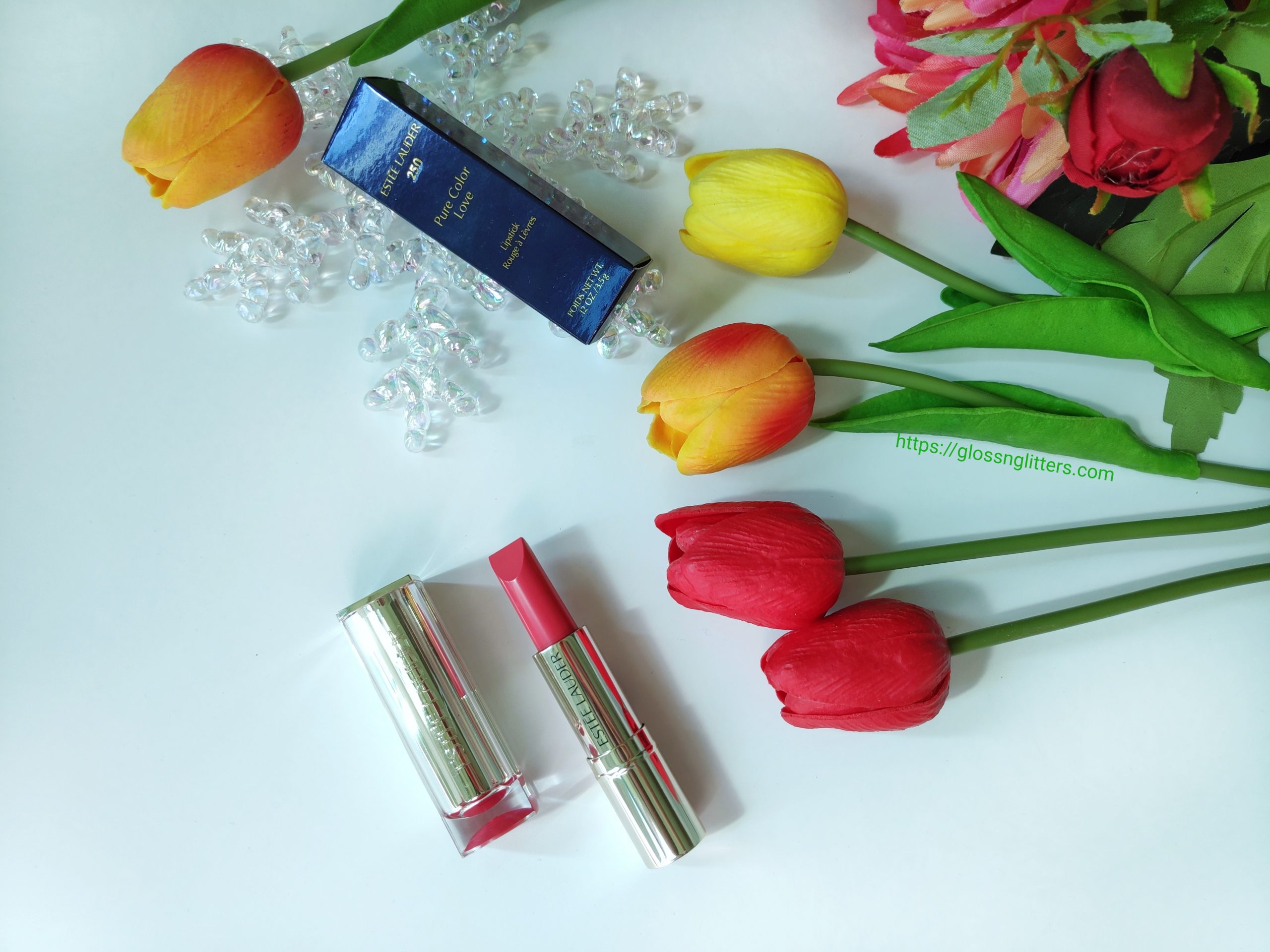 Estée Lauder Pure Color Love Lipstick in the shade 250 Radical Chic Review And Swatches